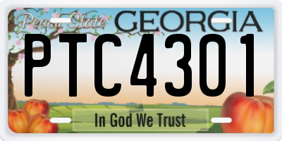 GA license plate PTC4301
