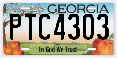 GA license plate PTC4303