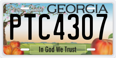 GA license plate PTC4307