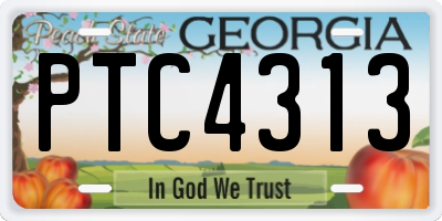 GA license plate PTC4313