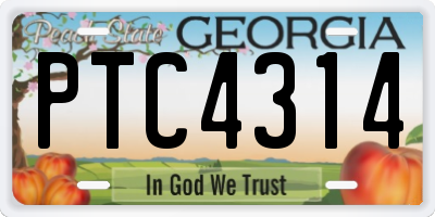 GA license plate PTC4314