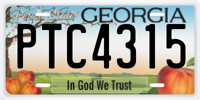 GA license plate PTC4315