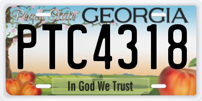 GA license plate PTC4318