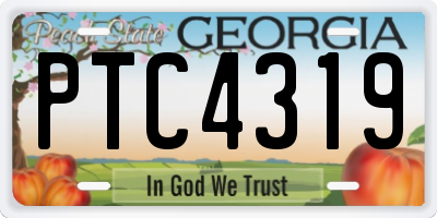 GA license plate PTC4319