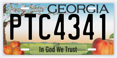 GA license plate PTC4341