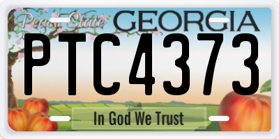 GA license plate PTC4373