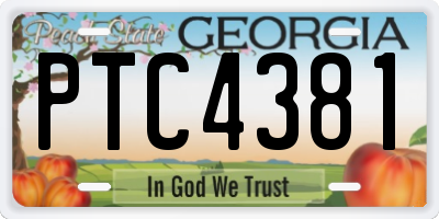 GA license plate PTC4381