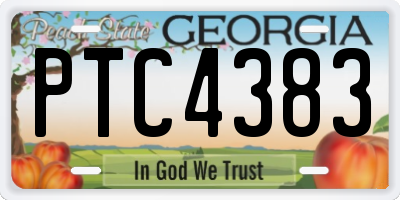 GA license plate PTC4383