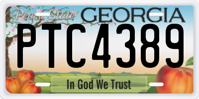 GA license plate PTC4389