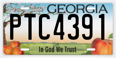 GA license plate PTC4391