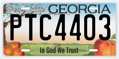 GA license plate PTC4403