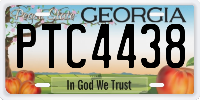 GA license plate PTC4438