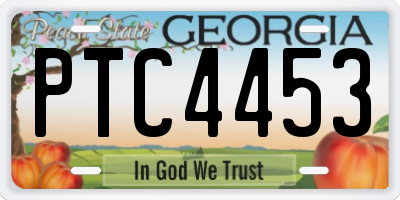 GA license plate PTC4453