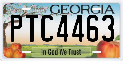 GA license plate PTC4463