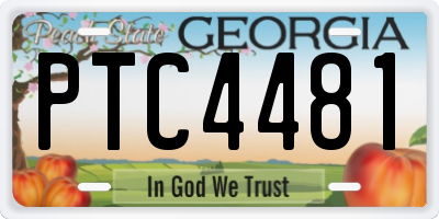 GA license plate PTC4481