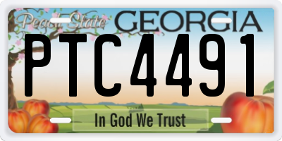 GA license plate PTC4491