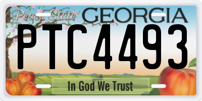 GA license plate PTC4493