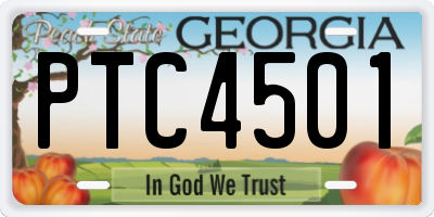 GA license plate PTC4501