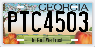 GA license plate PTC4503
