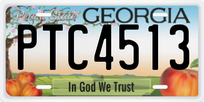 GA license plate PTC4513