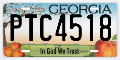 GA license plate PTC4518