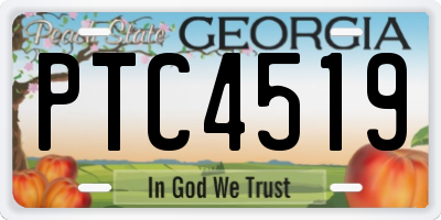 GA license plate PTC4519