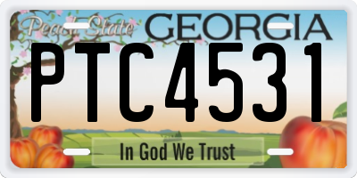 GA license plate PTC4531