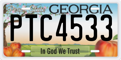 GA license plate PTC4533