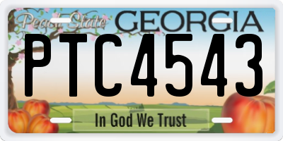 GA license plate PTC4543