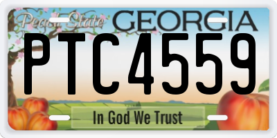 GA license plate PTC4559