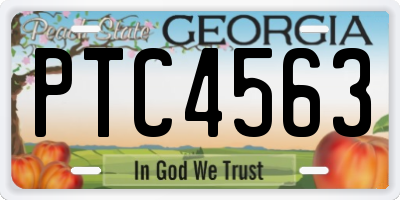 GA license plate PTC4563