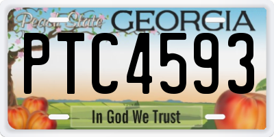 GA license plate PTC4593