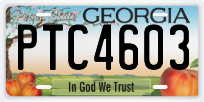 GA license plate PTC4603