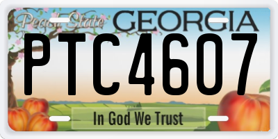 GA license plate PTC4607