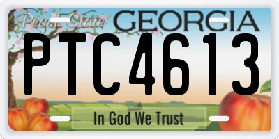GA license plate PTC4613