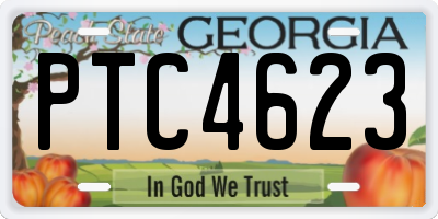 GA license plate PTC4623