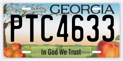 GA license plate PTC4633