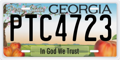 GA license plate PTC4723