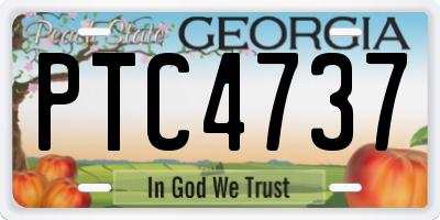 GA license plate PTC4737