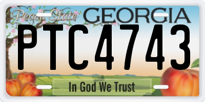 GA license plate PTC4743