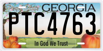 GA license plate PTC4763