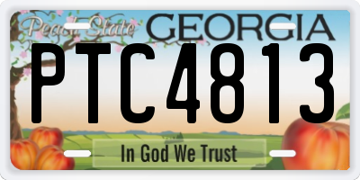 GA license plate PTC4813