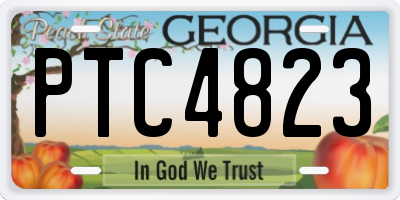 GA license plate PTC4823