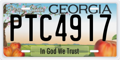 GA license plate PTC4917