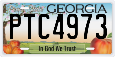 GA license plate PTC4973