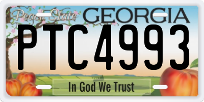 GA license plate PTC4993