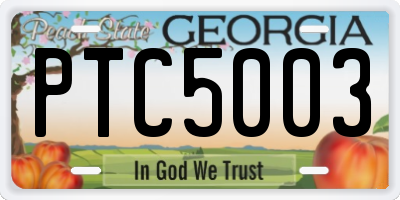 GA license plate PTC5003