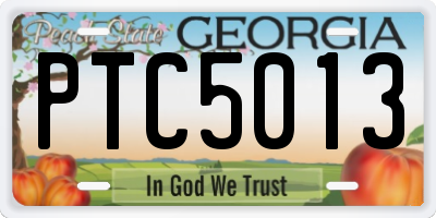 GA license plate PTC5013