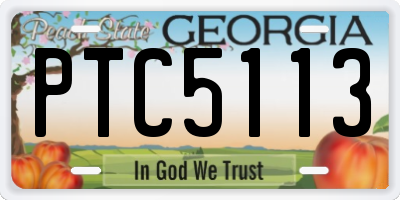 GA license plate PTC5113