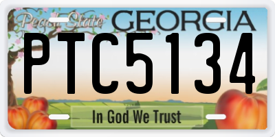 GA license plate PTC5134